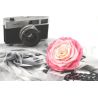 Rosa estabilizada Kiara XXL - Caja de 1 - Tie-n-dye Pink