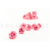 Rose Princess Stabilisiert - Verpackung 16 St. - Pastel Pink