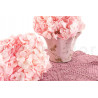 Hortensia Stabilisé Kiara - Bridal Pink
