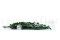 Edera Helix stabilizzata - Verde 9