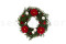 Oriental Thuja Stabilized - Green 11