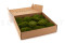 Mood Moss konserviert - Schachtel - Nature Green 2