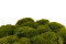 Mood Moss konserviert - Schachtel - Nature Green 8