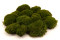 Mood Moss konserviert - Schachtel - Nature Green 3