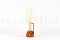 Foxtail preservado - Blanco 2
