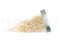 Ming Fern Preservado - Blanco 10