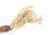 Ming Fern Preservado - Blanco 3