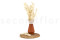 Ming Fern Preservado - Blanco 2