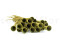 Paper Flower stem - 24 Units - Green 4