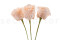 Tallo artificial de Papel - 24 Unidades - Verde 11