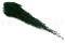 Cipresso stabilizzato - Verde 5