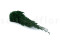 Cipresso stabilizzato - Verde 7