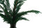Thuja preservada - Verde 9