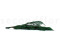 Thuja stabilized - Green 6