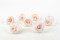 Stabilisierte Rose Kiara XL - Bulk 252 Stück - Pink Blush 4