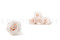 Stabilisierte Rose Kiara XL - Bulk 252 Stück - Pink Blush 12