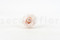 Stabilisierte Rose Kiara XL - Bulk 252 Stück - Pink Blush 13