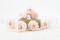 Stabilisierte Rose Kiara XL - Bulk 252 Stück - Pink Blush 7