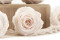 Stabilisierte Rose Kiara XL - Bulk 252 Stück - Pink Blush 9
