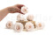 Stabilized rose Kiara XL - Bulk of 252 units - Pink Blush 10