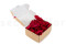 Pétalos de Rosa Preservados - Rojo 4