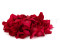 Pétalos de Rosa Preservados - Rojo 7