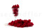 Pétalos de Rosa Preservados - Rojo 3