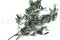 Olivier stabilisé - Bouquet - Vert 6