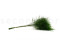 Tree fern Preservado - Verde 5