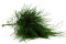 Tree fern Preservado - Verde 6