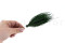 Posy Asparagus preservado - 20 unidades - Verde 3