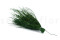 Posy Asparagus preservado - 20 unidades - Verde 4