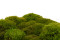Mood Moss preservato - Scatola - Light Green 5