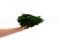 Juniperus Preservado - Verde 13