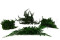 Juniperus Preservado - Verde 20